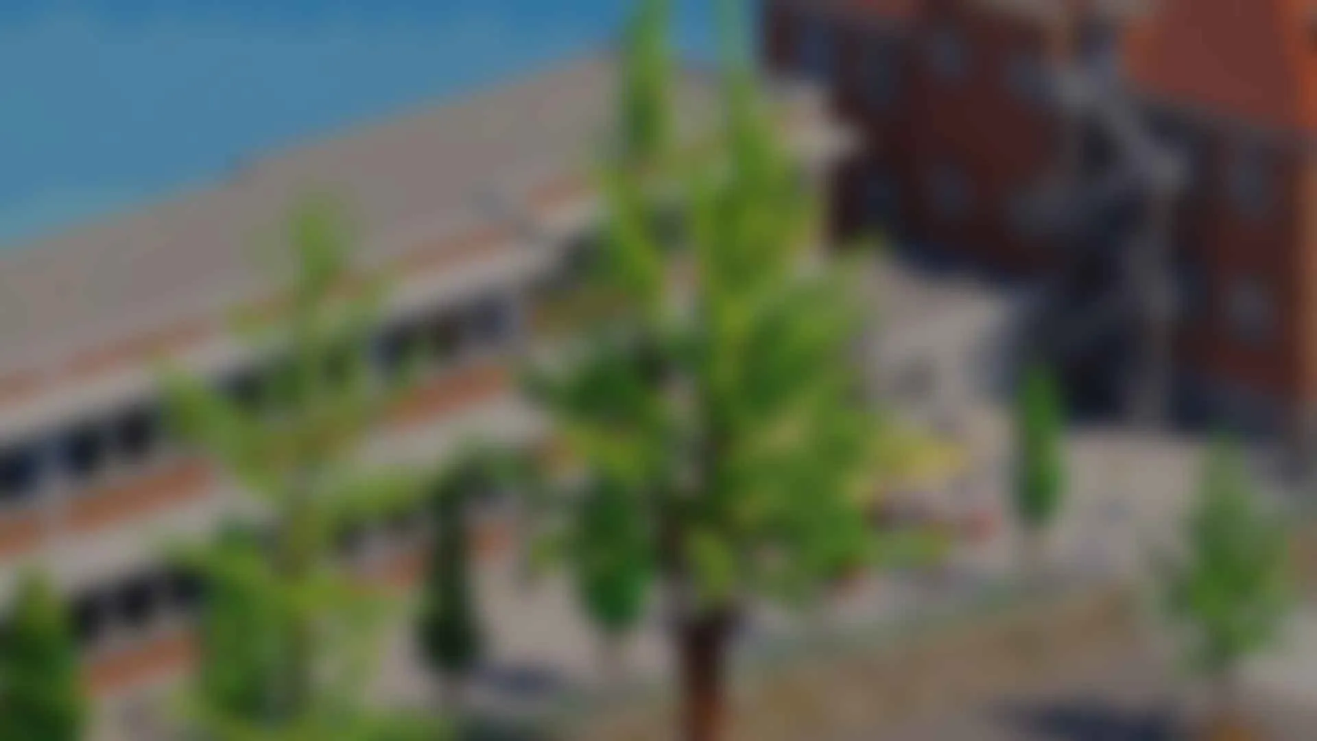 A blurred version of the first frame of our intro video